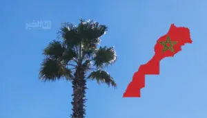 طقس المغرب