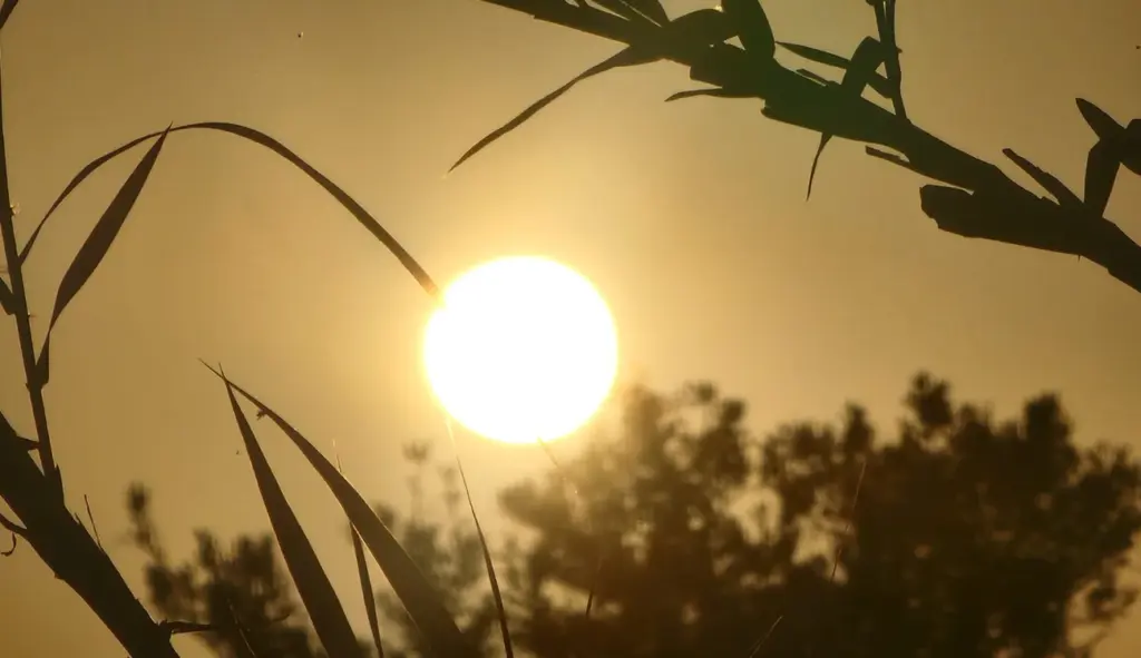 درجات الحرارة مرتفعة بالمغرب / تصور: أنا الخبر