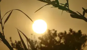 درجات الحرارة مرتفعة بالمغرب / تصور: أنا الخبر