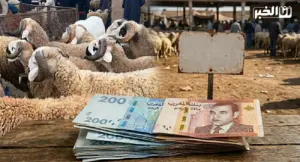 صورة مركبة تضم قطعاً نقدية مغربية (درهم) وأكباشاً في سوق الأضاحي، تُستخدم لتوضيح تقرير حول الدعم المالي للموظفين بمناسبة عيد الأضحى 2026 وسط ارتفاع الأسعار