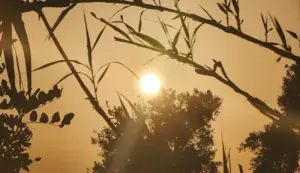 حرارة مرتفعة بالمغرب