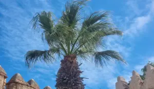 طقس حار الثلاثاء بالمغرب