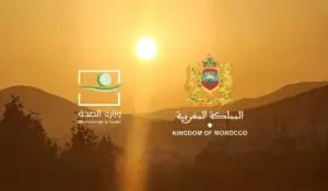 وزارة الصحة تحذر بسبب موجة الحبر بالمغرب ـ صورة تركيبية ـ
