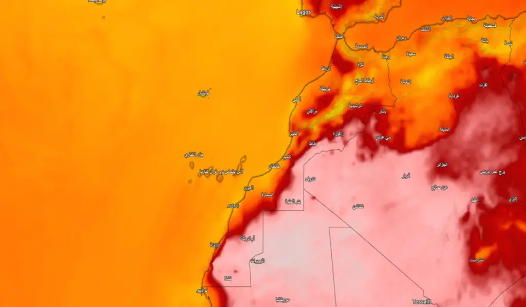 الأرصاد الجوية تحذر من موجة حر