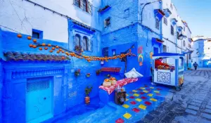 السياجة في المغرب ـ مدينة شفشاون ـ