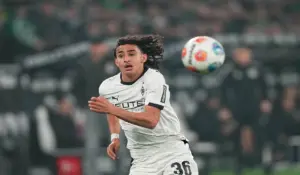 وائل موحيا