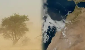 كيف يعبر غبار الصحراء الكبرى المحيط الأطلسي