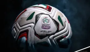 البطولة الاحترافية