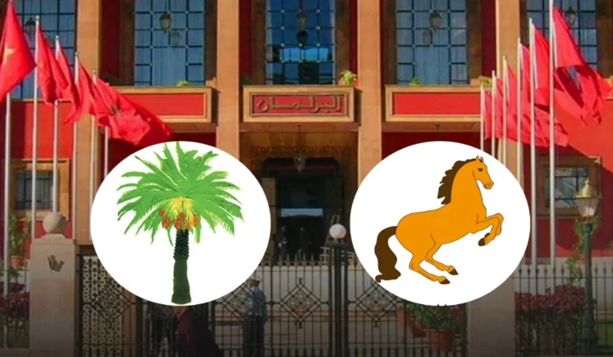 الاتحاد الدستوري والحركة الديمقراطية الاجتماعية