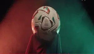 كرة البطولة الاحترافية