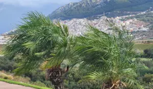 طقس المغرب
