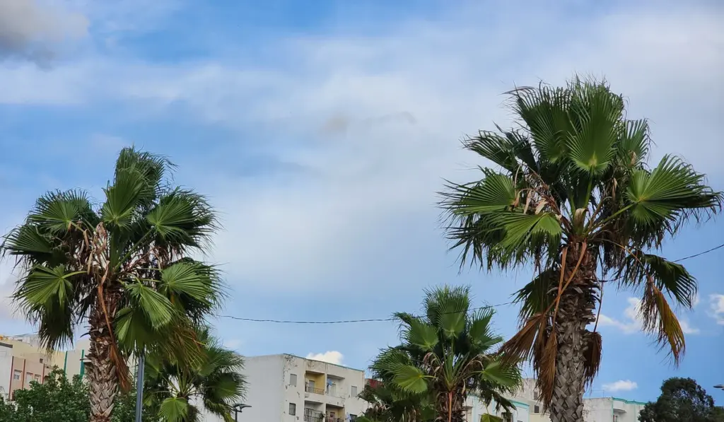 طقس المغرب