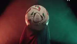 كرة البطولة الوطنية