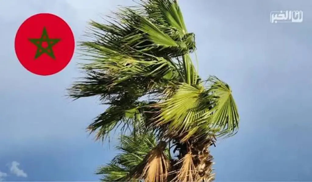 نشرة إنذارية بالمغرب ـ تعبيرية ـ