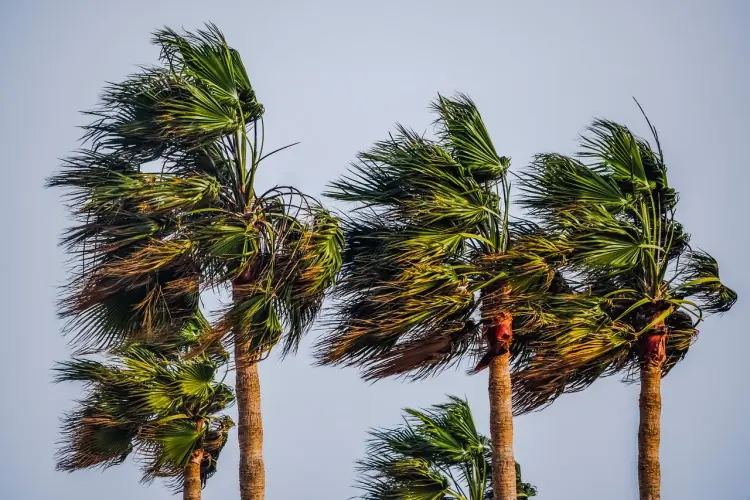 طقس المغرب ـ تعبيرية ـ